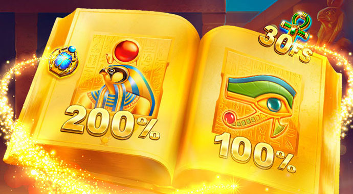 Big win plataforma