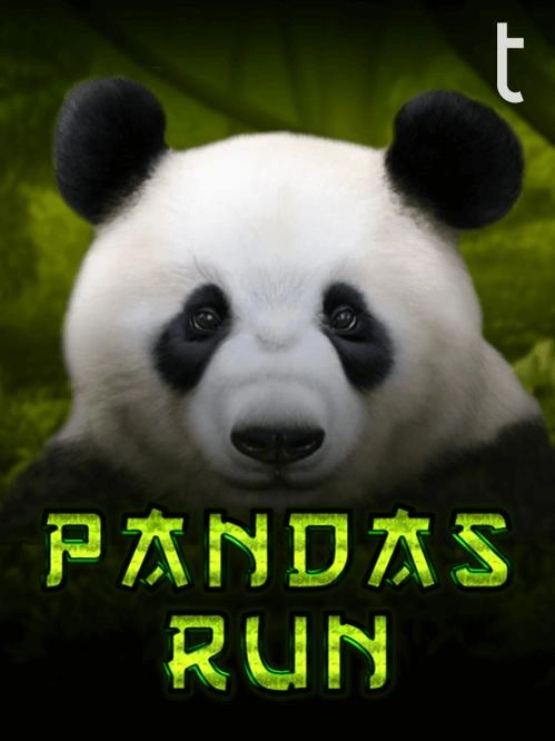 Melhor jogo da blaze