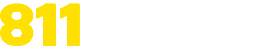 Blaze logo png - 777betio
